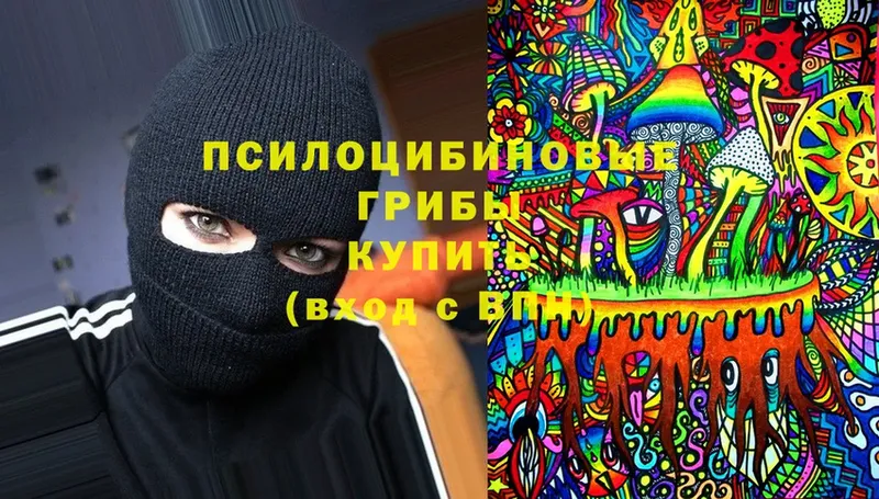 сколько стоит  Челябинск  Псилоцибиновые грибы Cubensis 